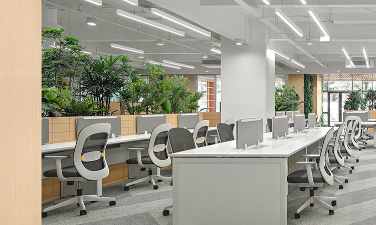 辦公室綠化裝修效果照
