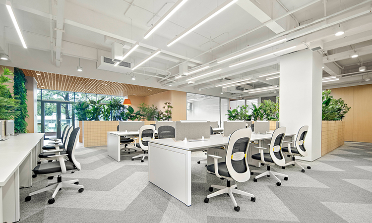 員工辦公區綠植景觀設計